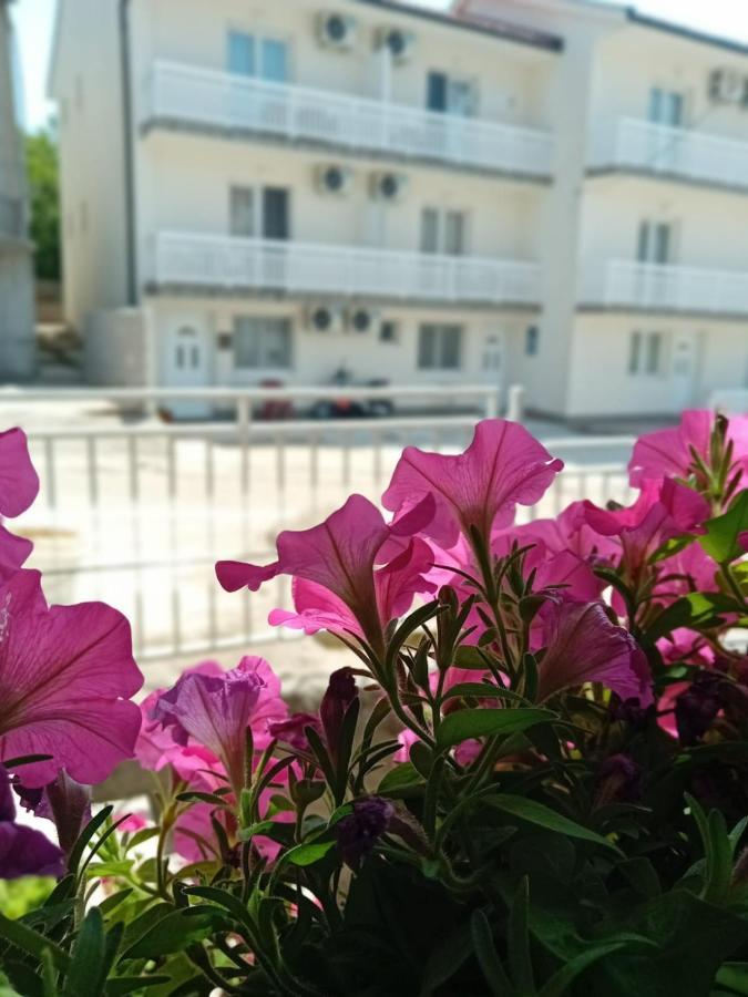 Apartmani Andela Neum Εξωτερικό φωτογραφία